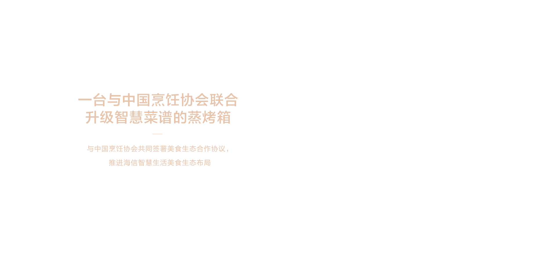 海信璀璨蒸烤箱