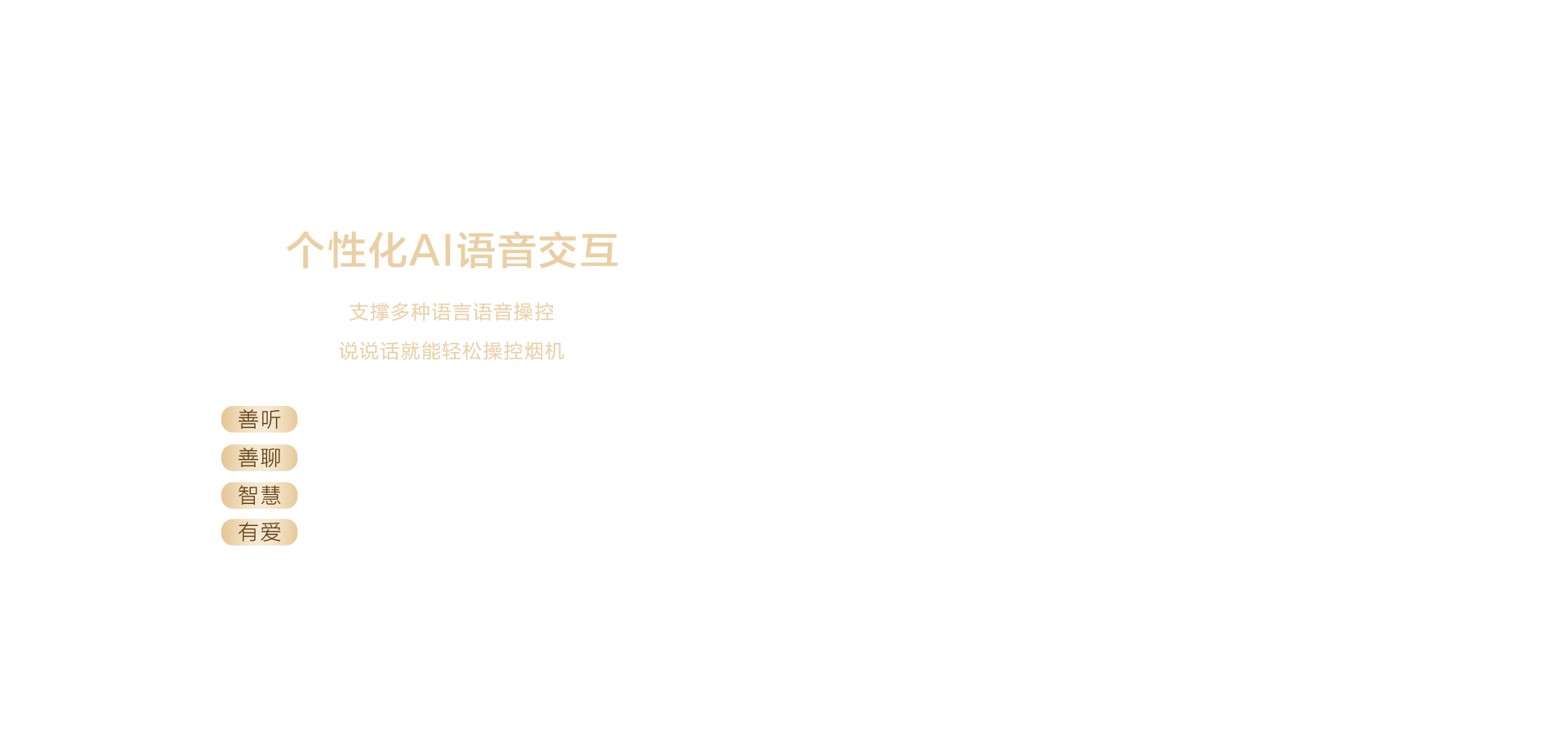 海信璀璨油烟机