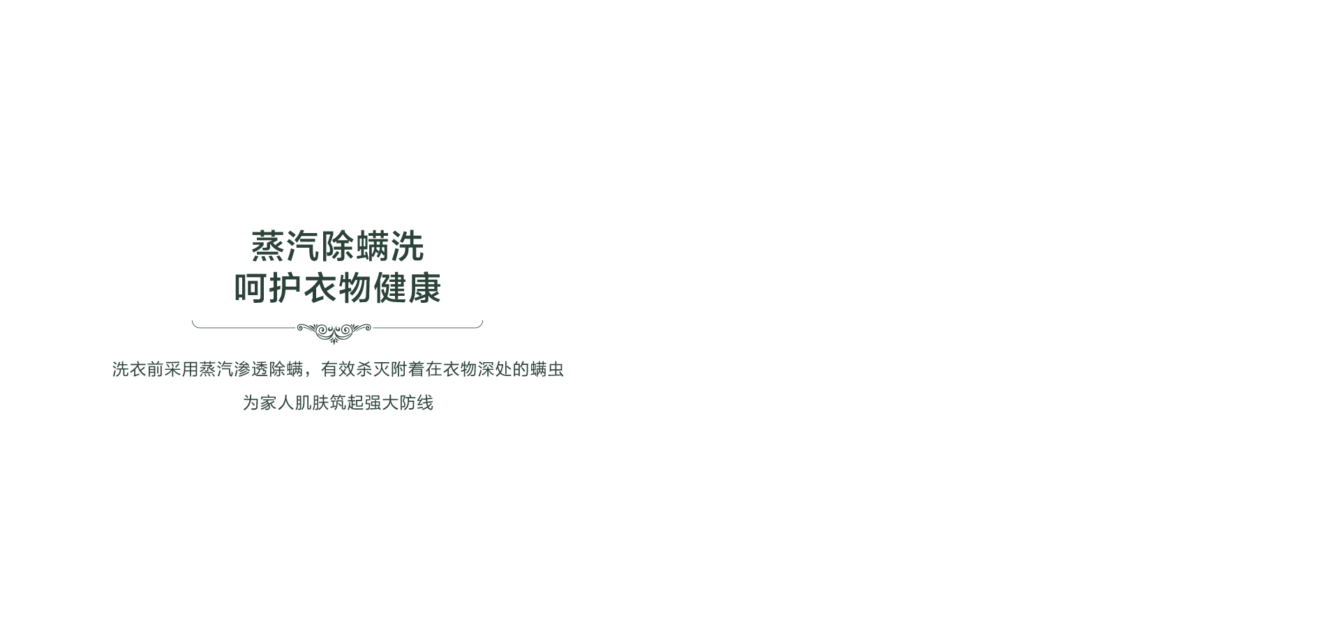 海信洗衣机罗马假日
