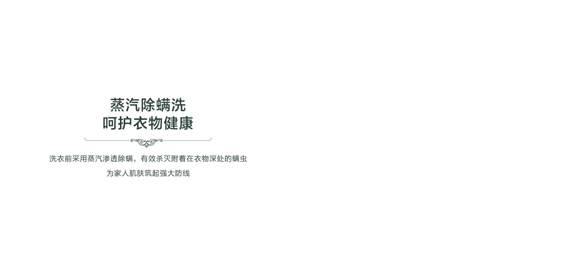 罗马假日