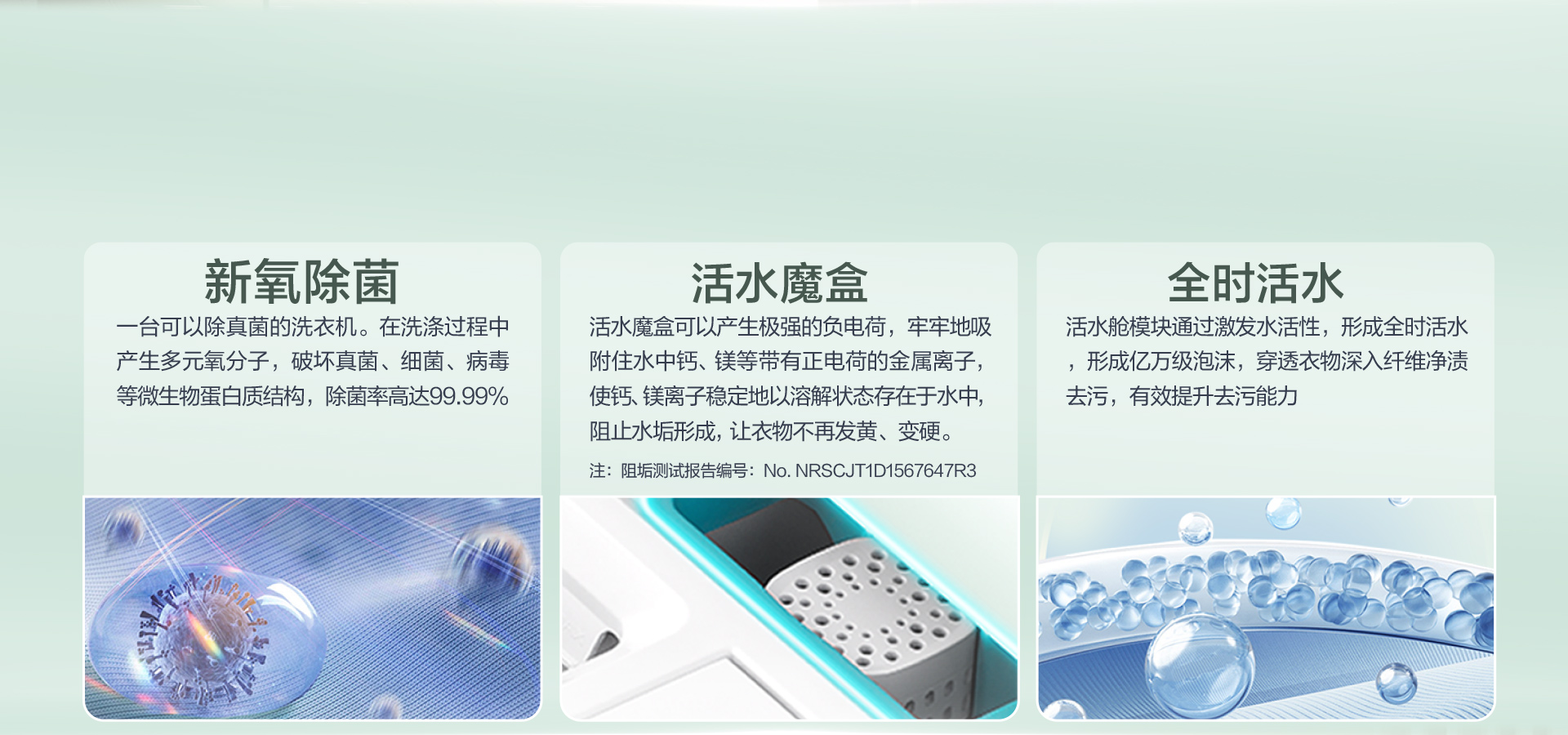 罗马假日