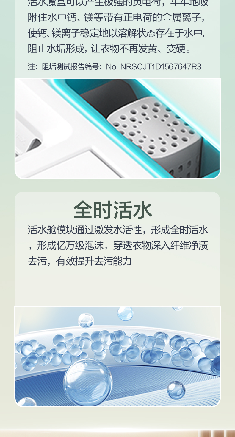 罗马假日
