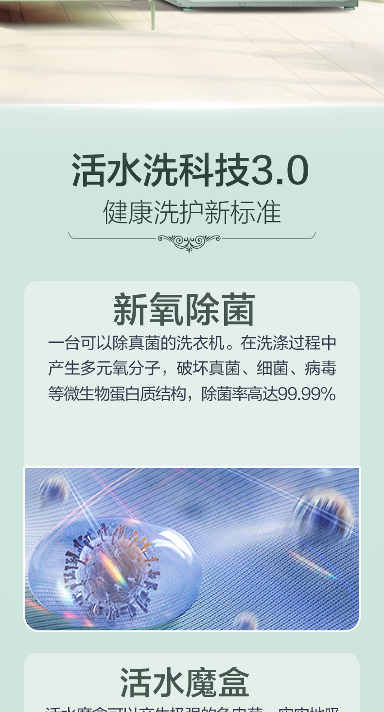 罗马假日