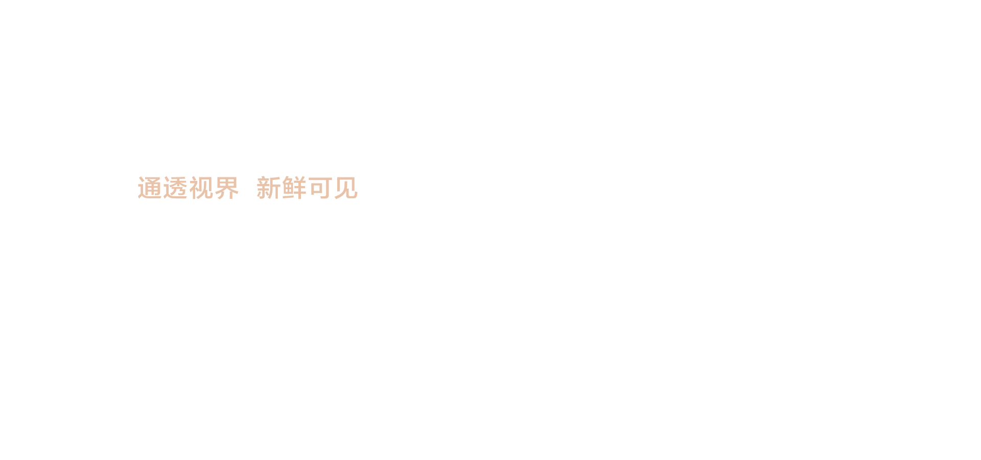 海信璀璨冰吧