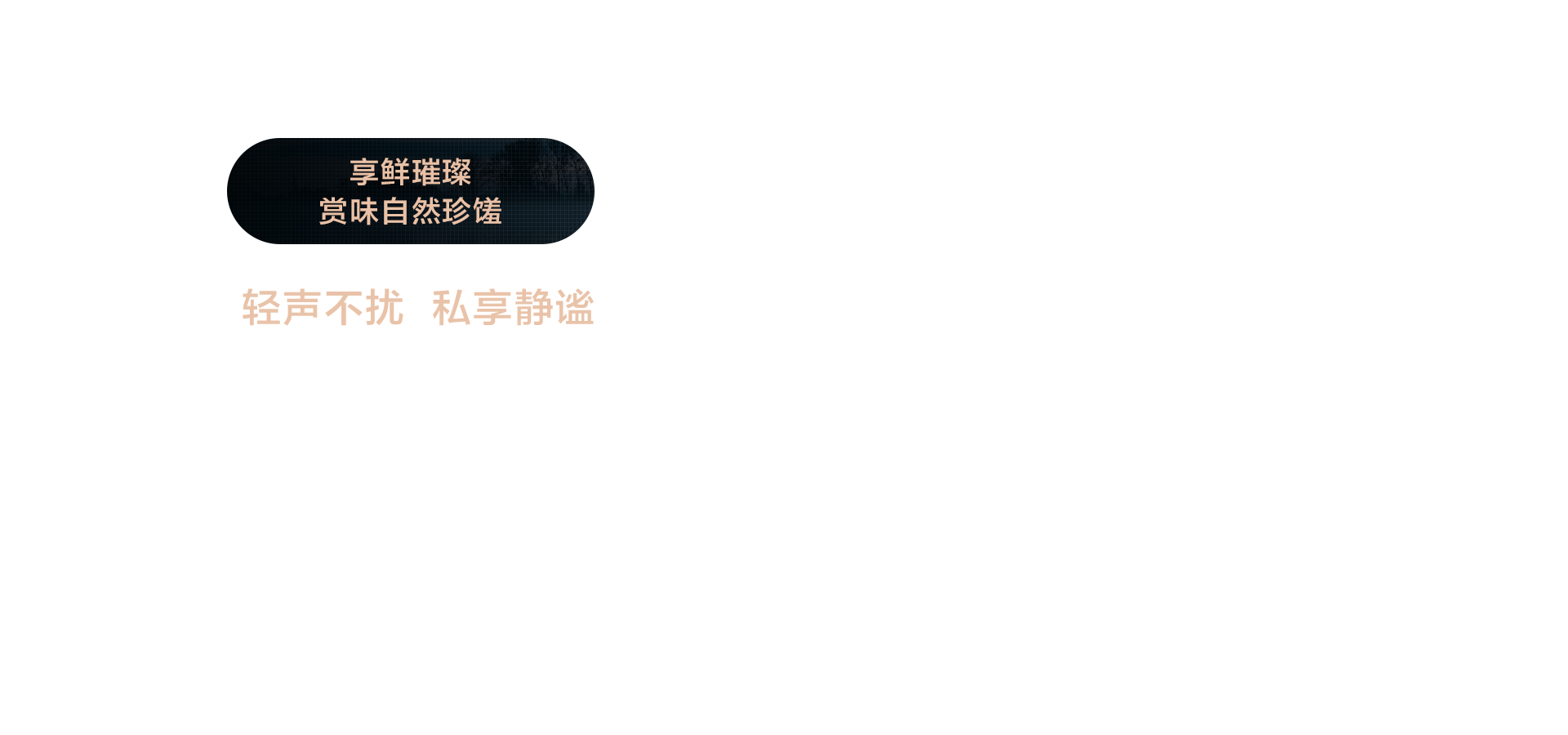海信璀璨冰吧