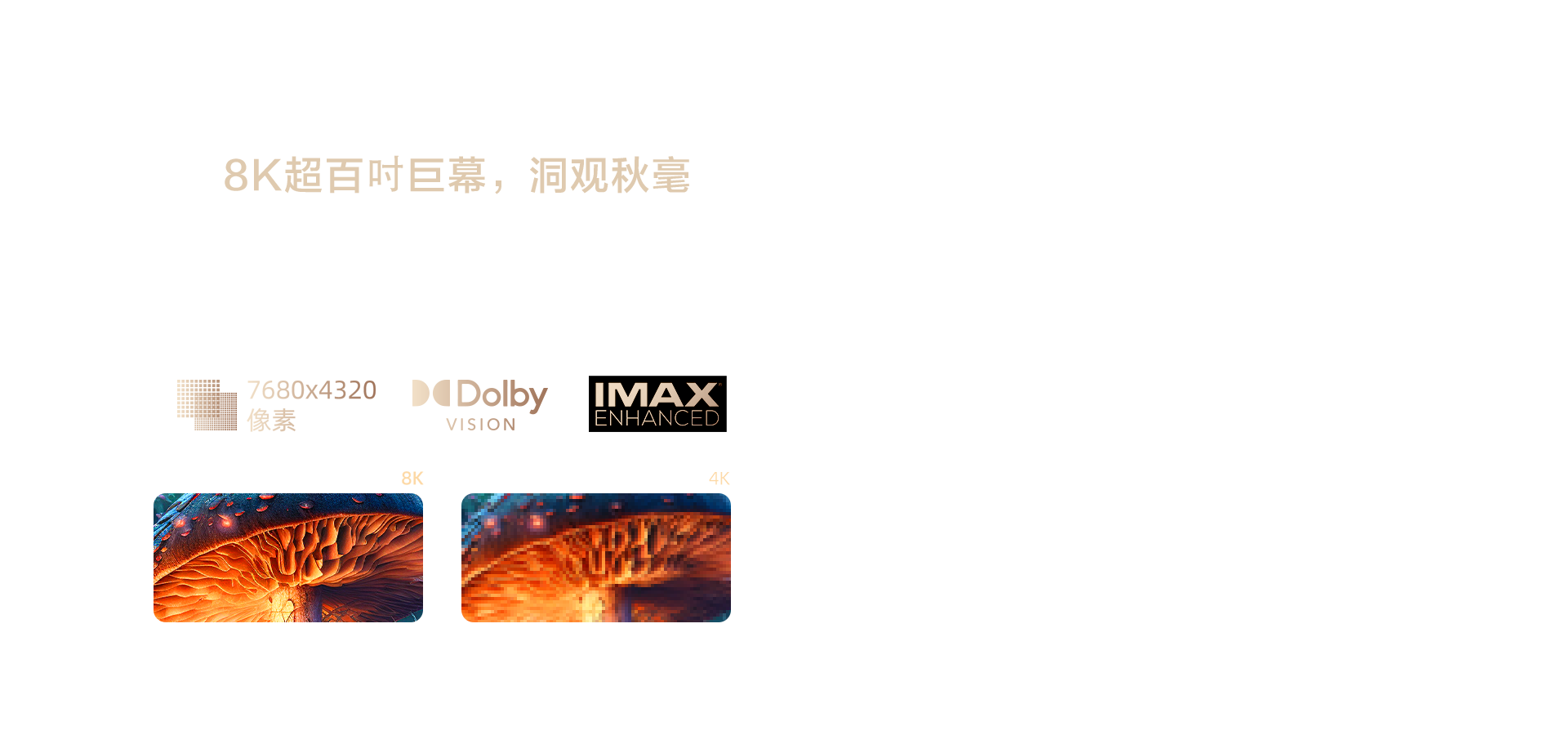 海信显示器