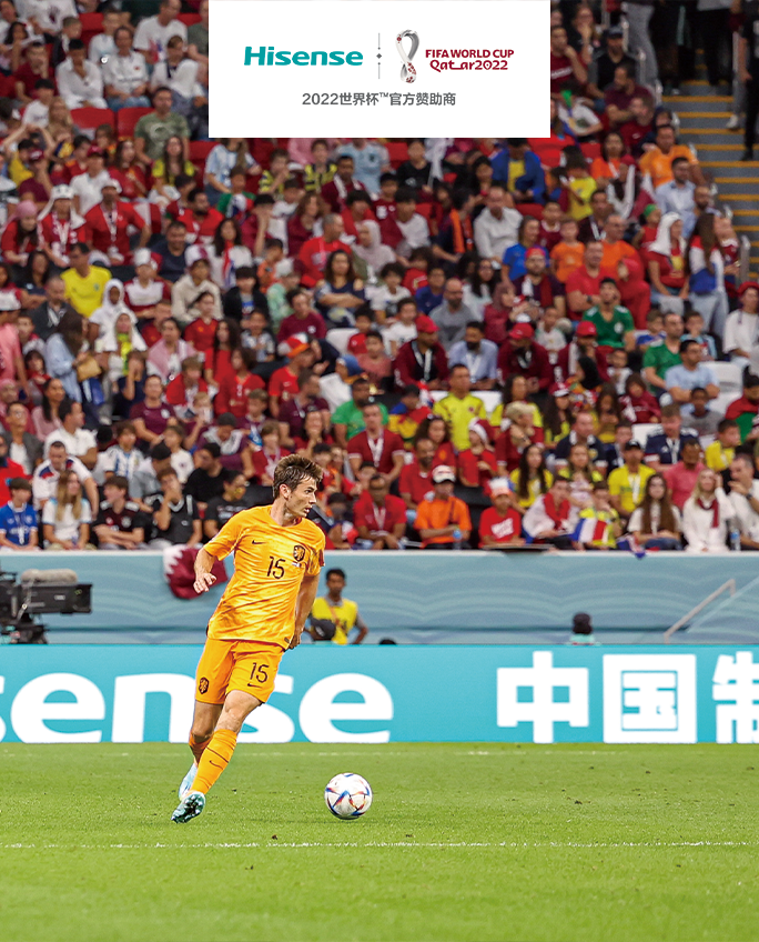2022世界杯