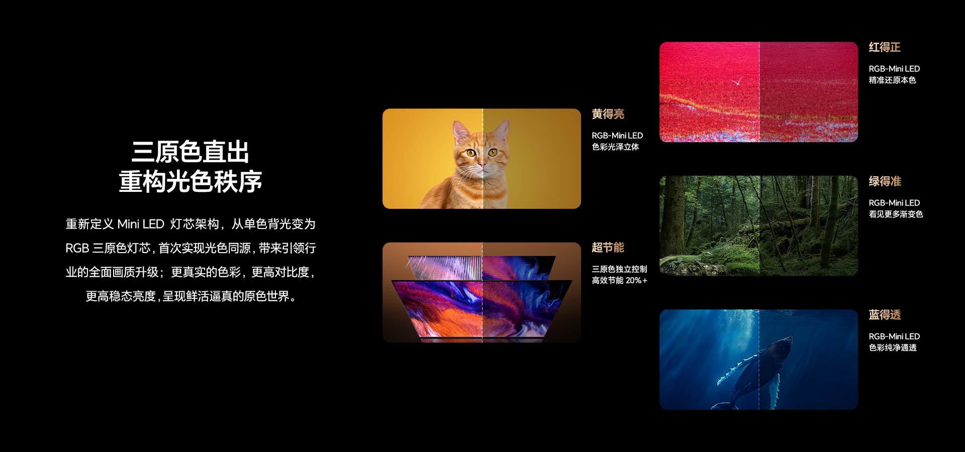 海信显示器